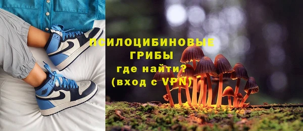 хмурый Мегион